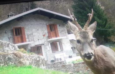 Baita salzkabe - Foto 9