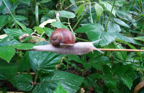 W starej szkole - agroturystyka - Foto 58