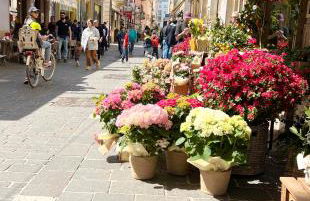 Loft62 - Centralissimo e tranquillo con parcheggio - Foto 42