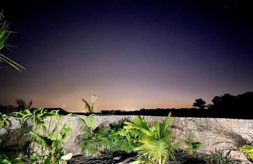 Golf Palms - Foto 42