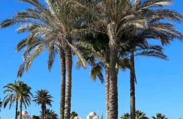 Casa Brisa Vera Costa con piscina abierta todo el año - Foto 35