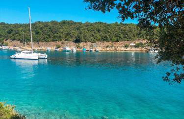 Apartments Bernarda - Foto 26