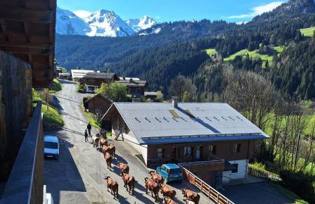 La Loulettaz - Foto 11