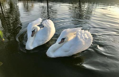 Ferienwohnungen GoJa - Foto 60