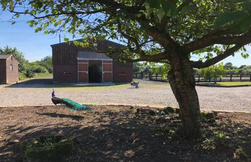 The Saddlery Cheshire - Photo 8