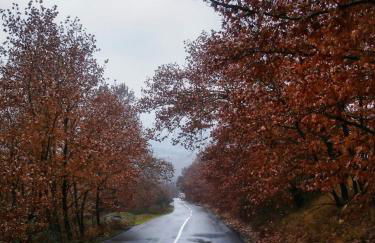 Pefkofyto Mountain Retreat - Photo 62