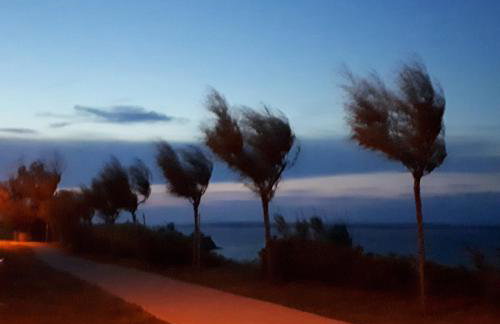 Iris Sabunike - Photo 23