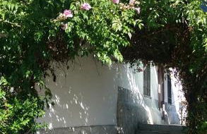 Cortijo "Era Grande 1" - Foto 9