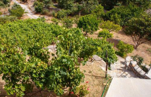 Villa 4 DESTINA - Foto 26