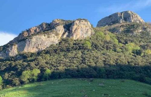 Cumbres de los Picos Apartamento Los Abedules - Foto 16