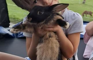 Herzleierhof Rodeneck - Photo 77