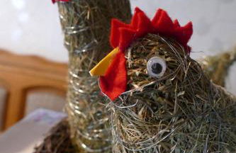 Natur-Aktiv-Hof Thiem - Foto 75