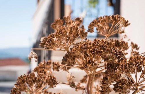 Casa Ermioni Stone House - Photo 62