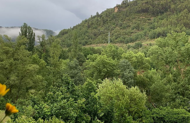 Casa El Pelaire - Foto 24