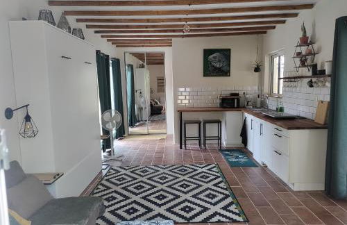 Chez Chapelle in the heart of the Gascony with pool, pets welcome! - Photo 1