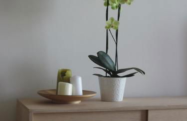 Venezia nature&beach - Foto 26