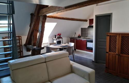 Beaugency-3 sur la route des châteaux - Photo 42