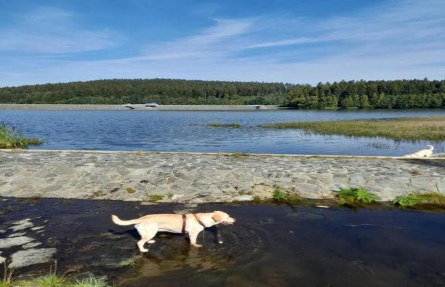 Ferienhaus in Vogtland - Foto 19