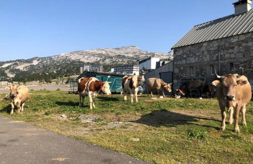 Pyrénées Cœur de station GR10 randonnées - Foto 15