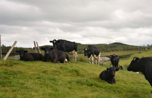 2 Bed in Colwyn Bay oc-77635 - Foto 15