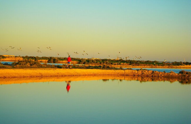 Naturpark-Segway-Tour mit Mittagessen mit Meeresfrüchten auf der Insel Faro - Foto 6
