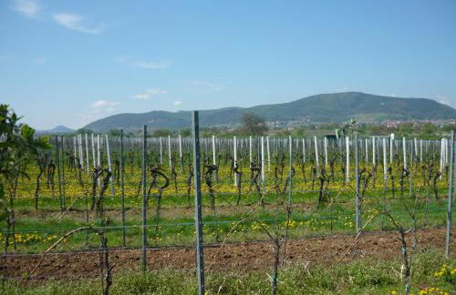 Ferienhaus - Kern - Foto 49