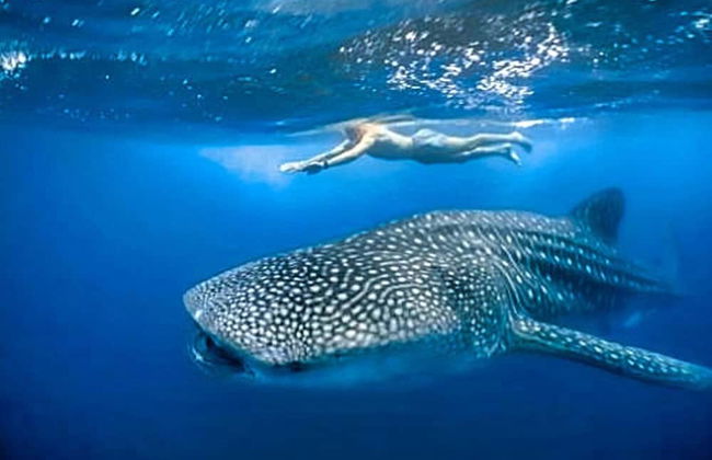 Hacienda Antigua Villa, 50m From Sandy Beach - Foto 13