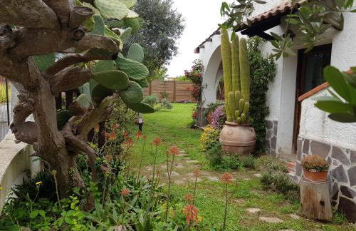 La Limonaia - Foto 29