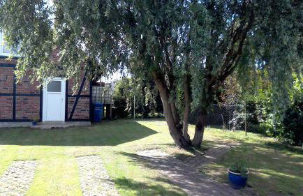 Ferienwohnung Otto - Foto 35