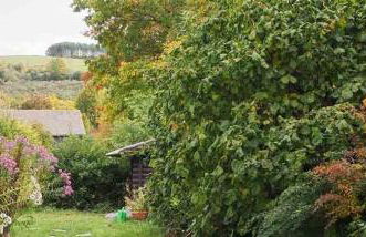 Ferienwohnung Wisentsteig - Foto 11