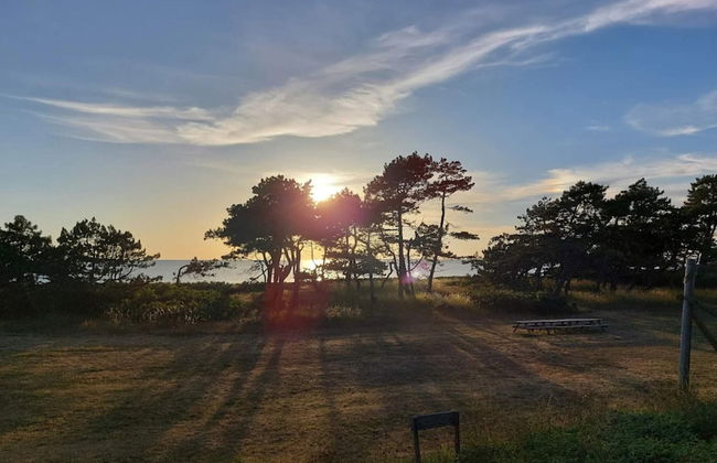 4 Person Holiday Home in Store Fuglede-by Traum - Foto 8