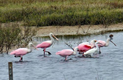 Waterfront Escape - Margie 1974 Silver Streak - Foto 19