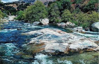 Sequoia Villa - Foto 14