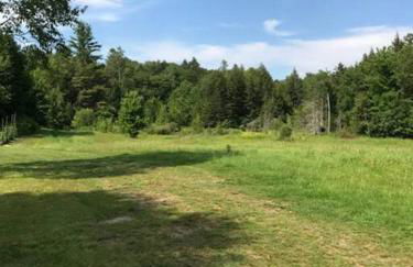 The Hunter Cabin at Sky Hollow - Foto 30