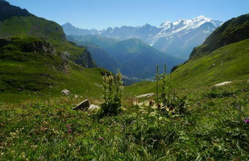 Location de charme 4 étoiles à Passy - Foto 22