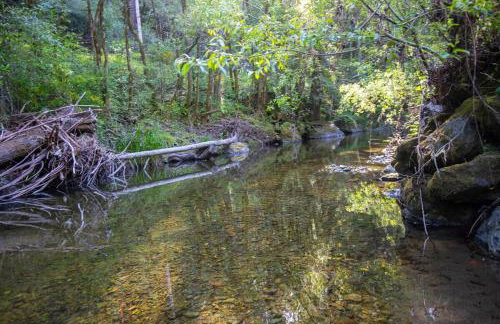 Sweet Creek - Photo 17