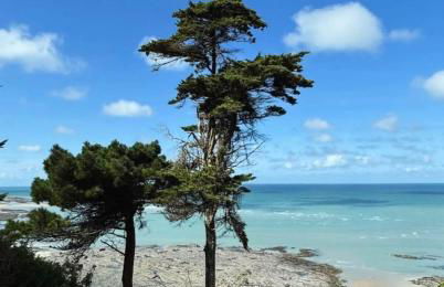 Studio Cosy - Gare à 5 min à pied - Proche Plage & Centre - Foto 11