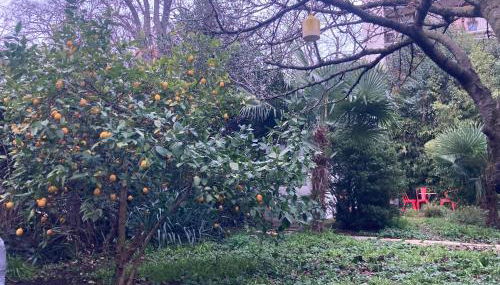 Un jardin en ville - Foto 2