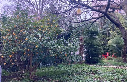 Un jardin en ville - Foto 2