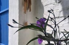 Casa con encanto junto a la playa de La Puntilla - Foto 8