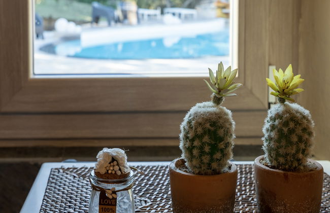 Stazzu lu Bulioni - Foto 20