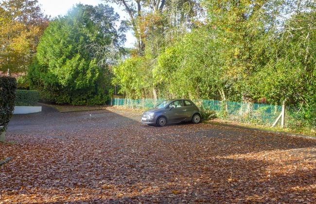 Les écureuils - Foto 18