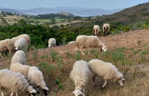 Sophia's Ralaki Cottage - Foto 27