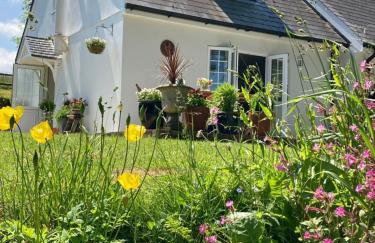 Cargibbitt Annexe - Foto 26