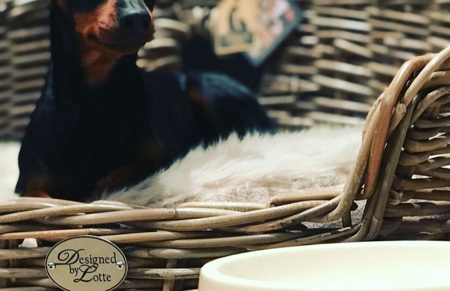 Chalet S Das Juwel an der Zugspitze - Foto 25