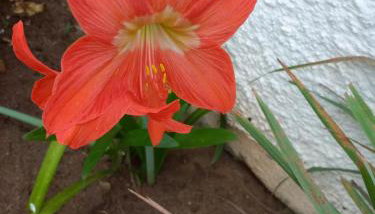 Itaúna saquarema beach house - Foto 3