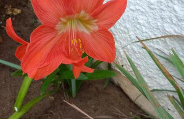 Itaúna saquarema beach house - Foto 3