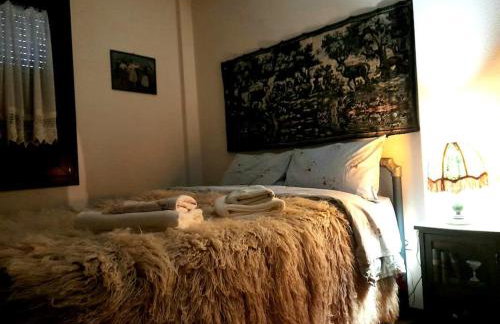 Ενοικιαζόμενη Παραδοσιακή κατοικία Σαν Παραμύθι - Foto 31