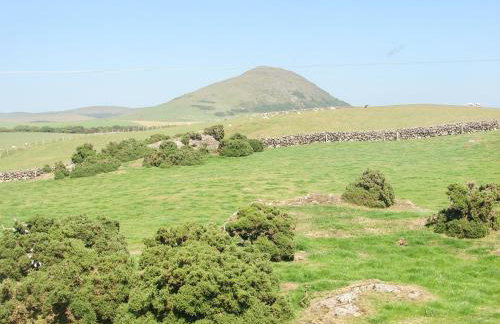 Fiddlers Rest - Foto 21