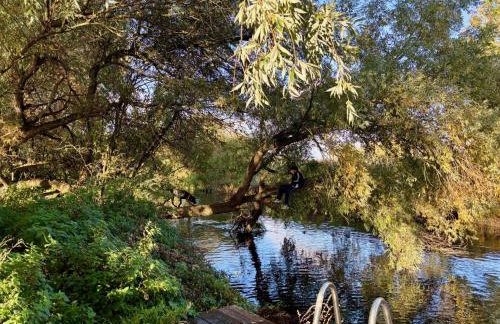 Cosy one bedroom flat in a country house - Foto 12